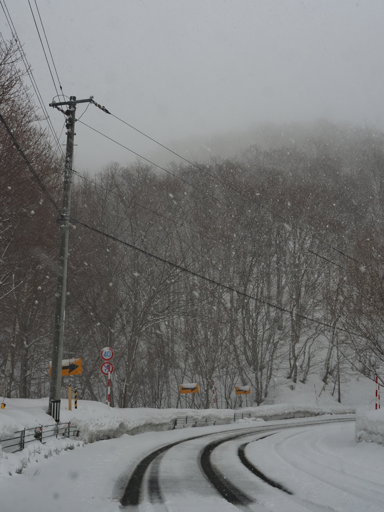 3月15日の峠道・・・。