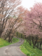 連休回顧録～奈井江にわ山展望台