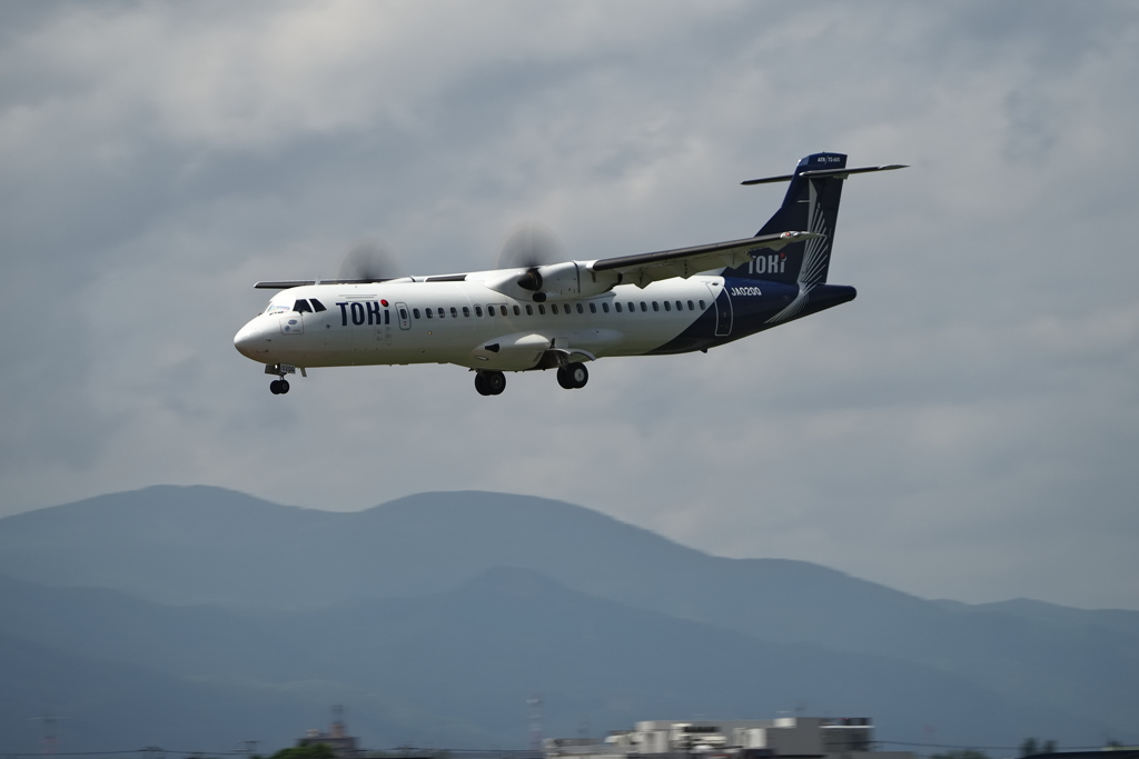 朱鷺、そろそろだわなぁ