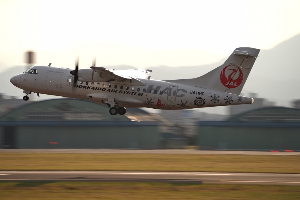 まだ、秋だと思える頃