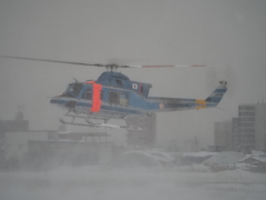舞い上がる粉雪