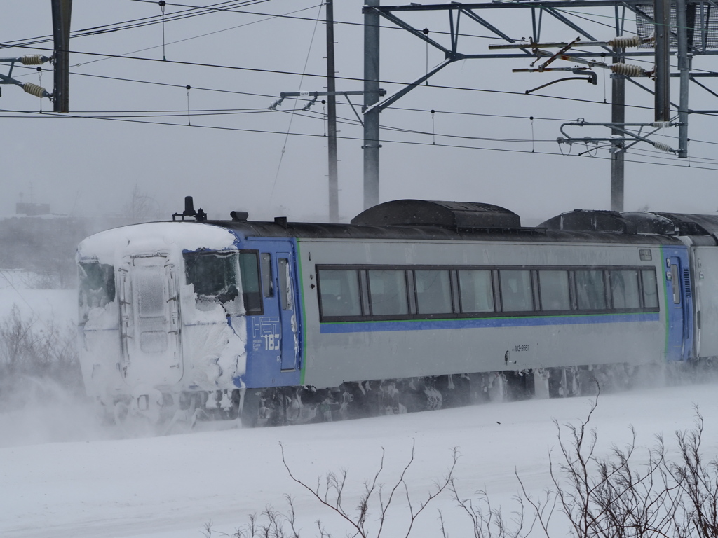2023.01.24の雪化粧～後面