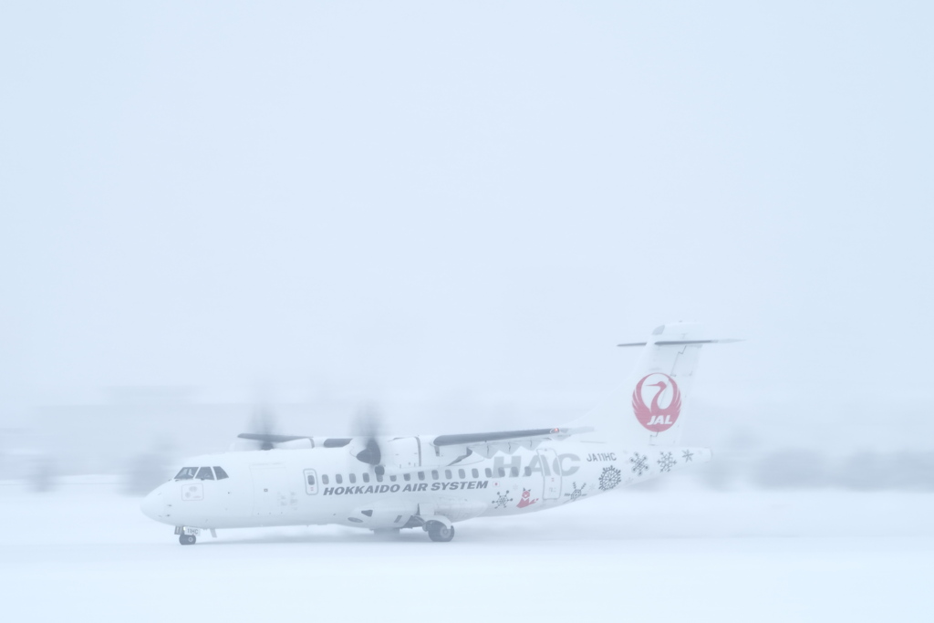 さらに降ってきた・・・。