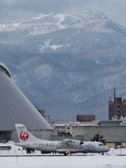 雪ミク飛行機