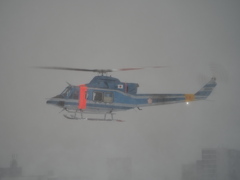 訳が分からなくなる粉雪