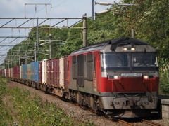 DF200-62