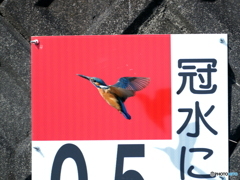冠水に注意