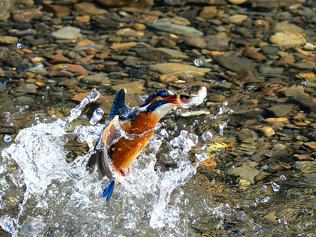 PC030082_DxO