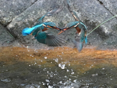 バトル