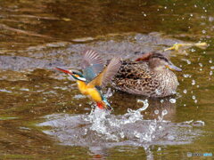 不ゲット 不ゲット