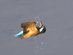 空中水切り