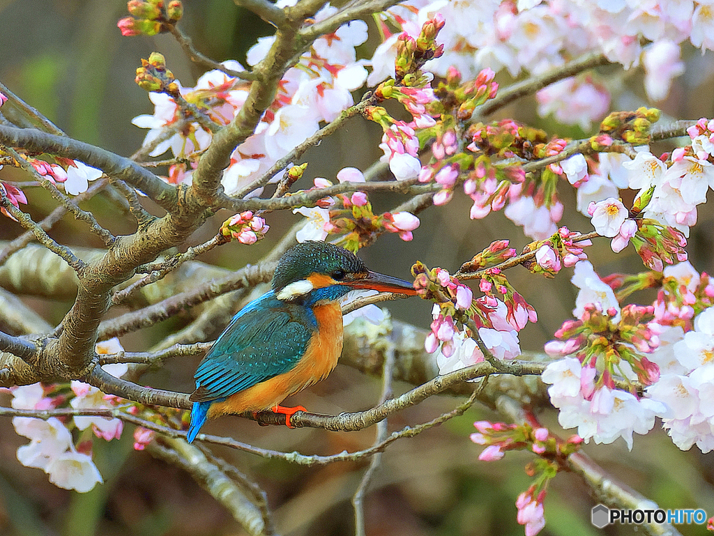 3月28日やっと止った！