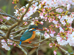 3月28日やっと止った！