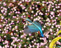 上昇