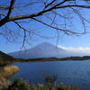 田貫湖湖畔よりの富士山