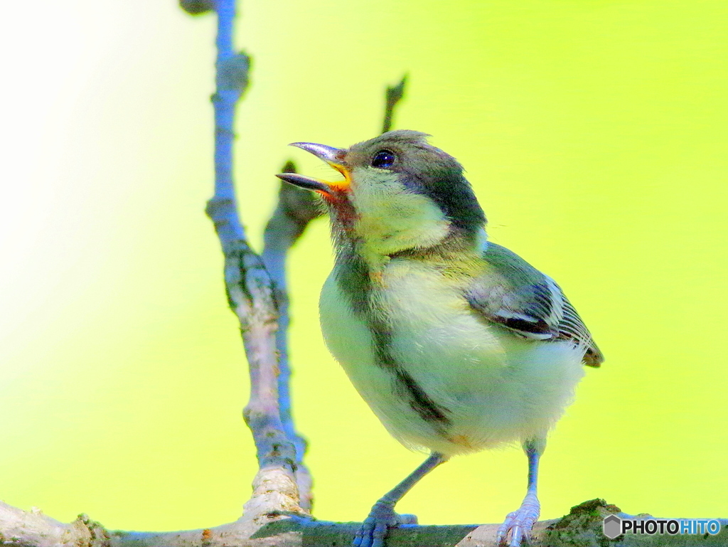 お父さんお腹すいた