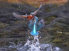バトル　再度空中へ