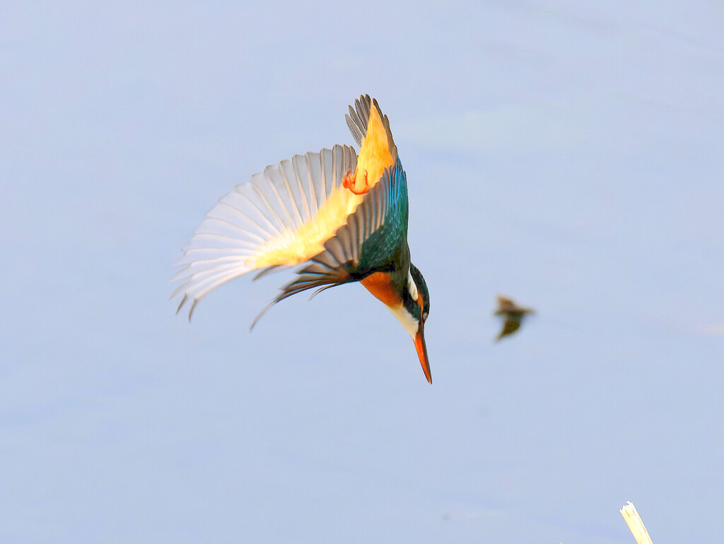 ロックオン　何かが飛んでる？