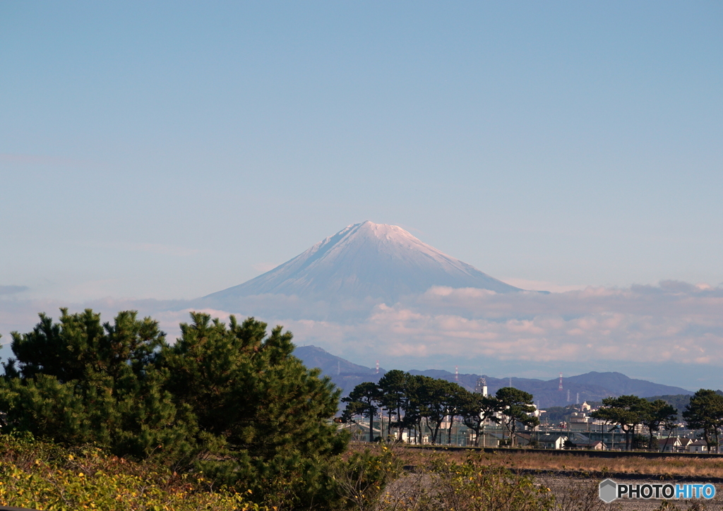 今日の富士山（安倍川河口にて）