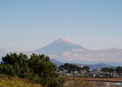 今日の富士山（安倍川河口にて）