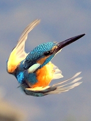 やってきたぞ！