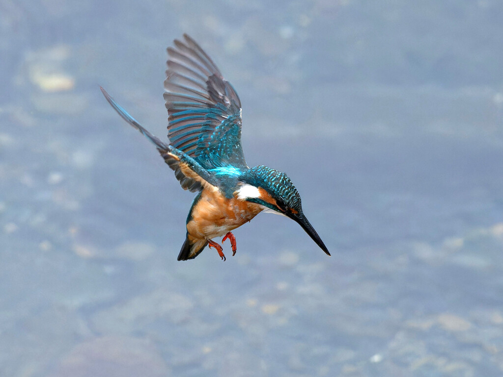 ロックオン