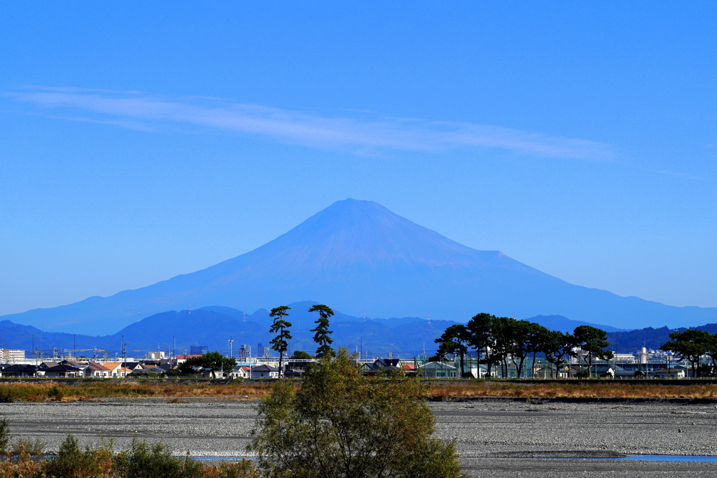 今日の富士山（安倍川河口にて）