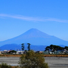 今日の富士山（安倍川河口にて）