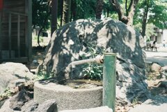 日常スナップ