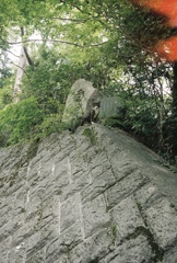 高尾山にて
