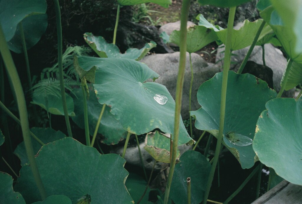 水滴
