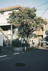 日常スナップ
