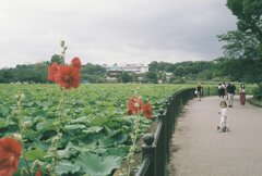 上野公園にて