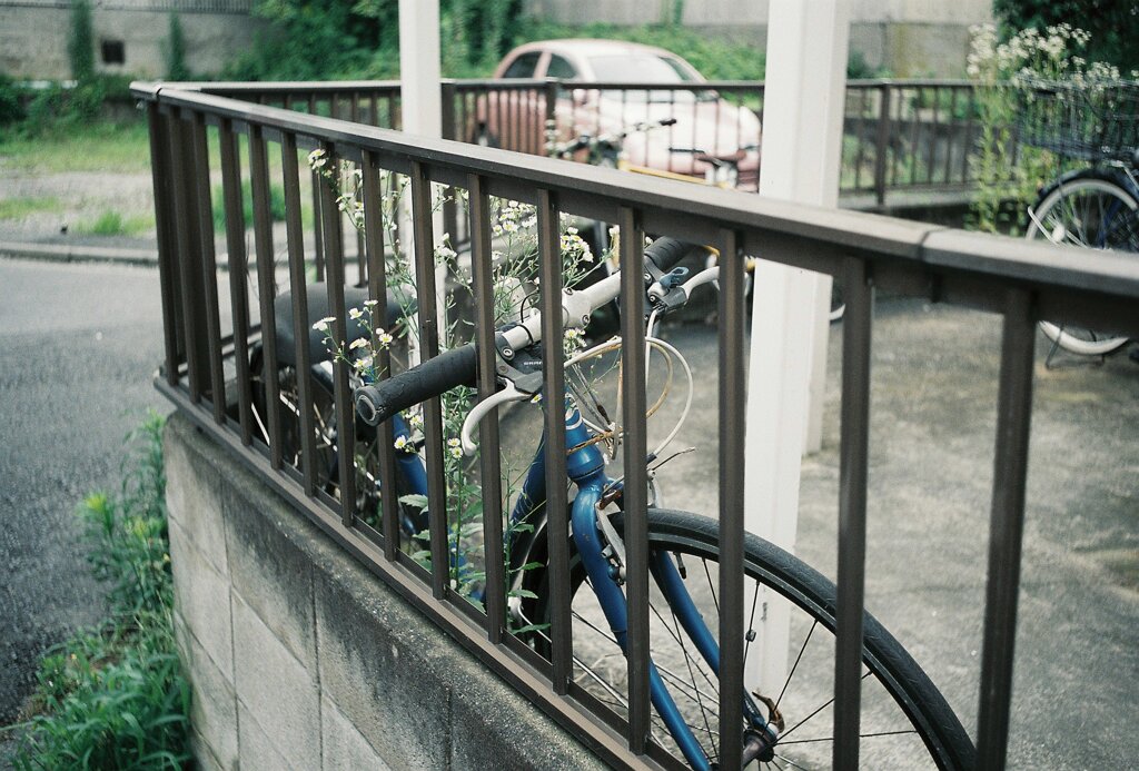 自転車