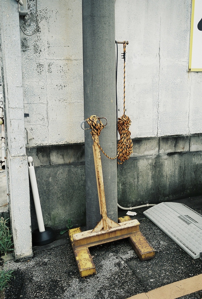 黄色