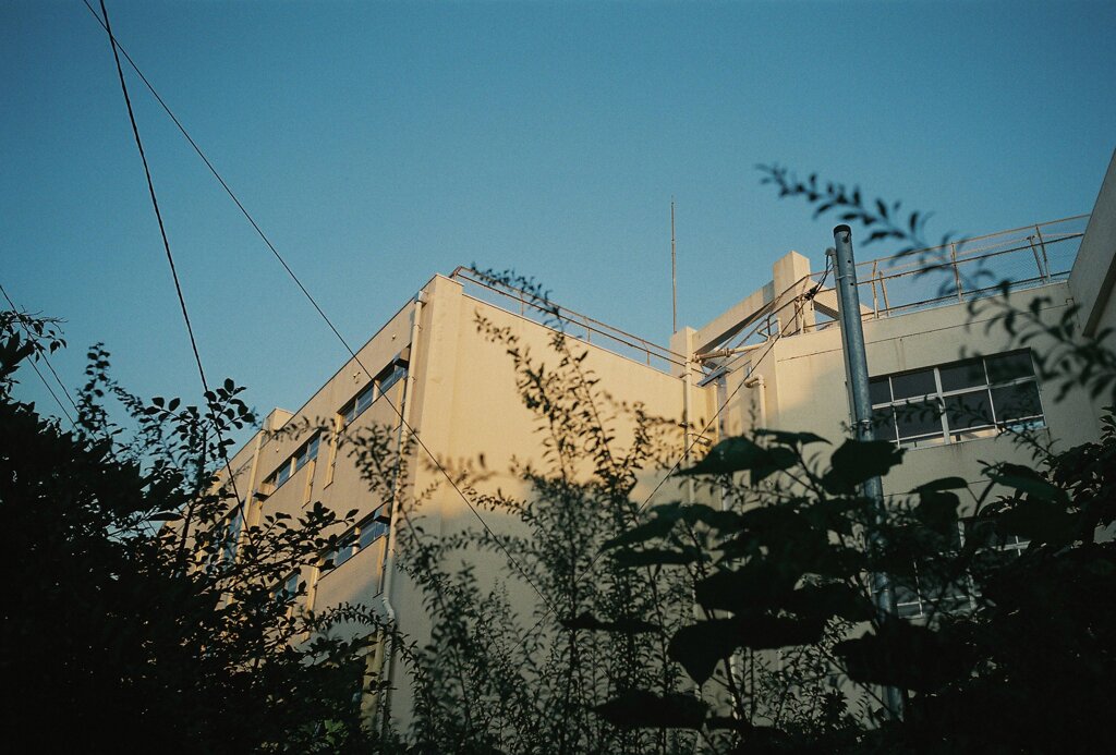 夕暮れどき