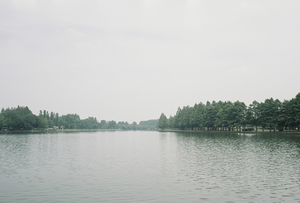 公園にて