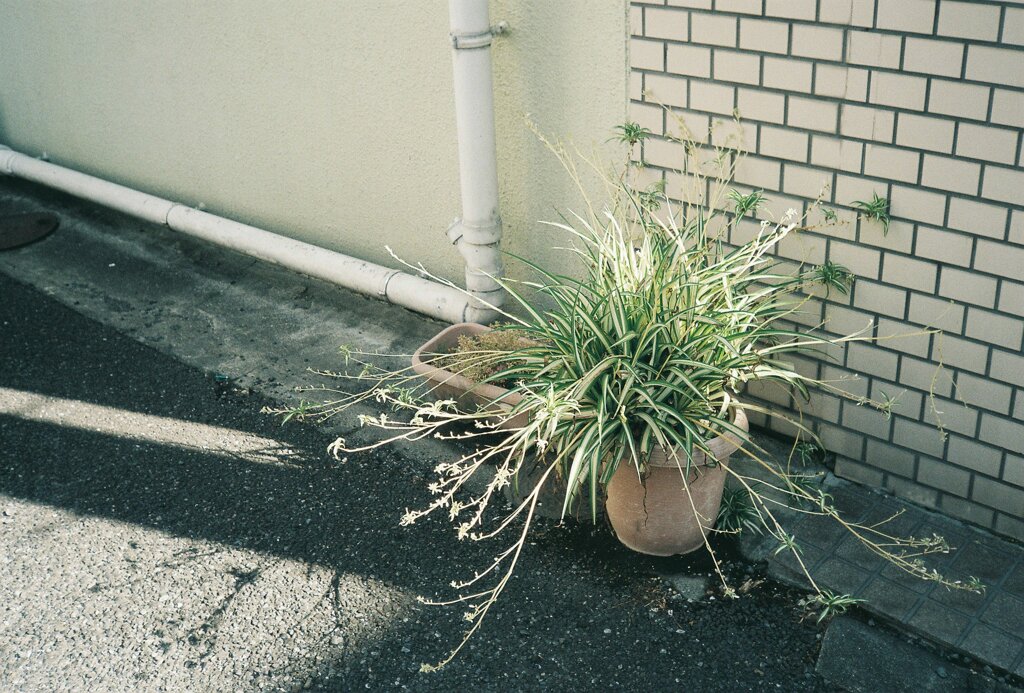 下町スナップ