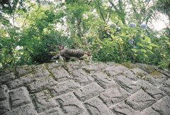 高尾山にて