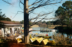 昭和記念公園にて