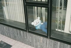 じー
