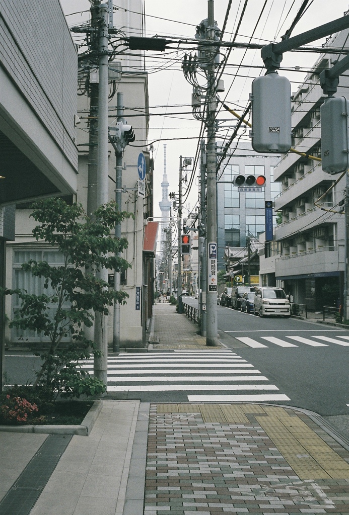 遠くに見えるは