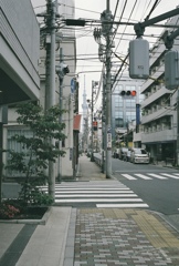 遠くに見えるは