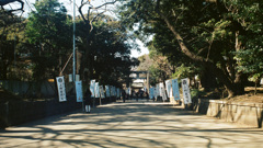 上野公園にて
