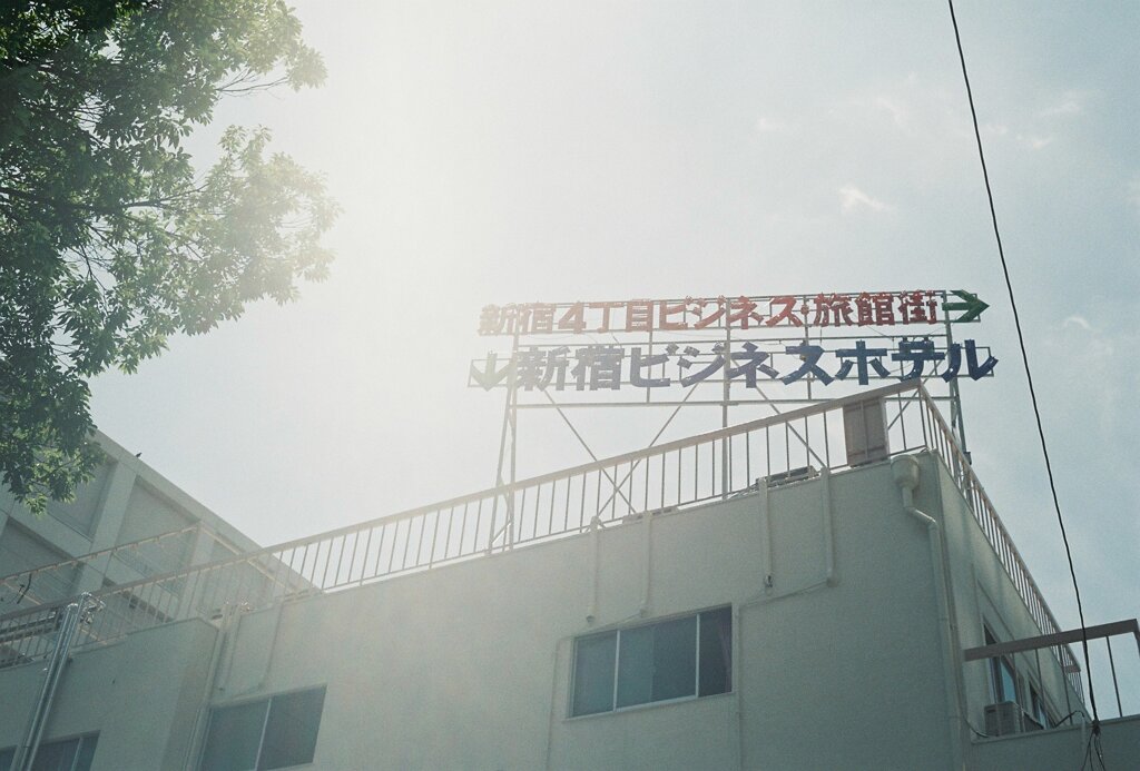 朝