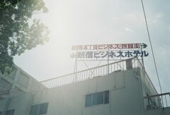 朝