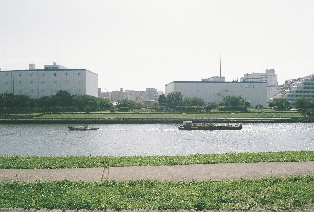 川沿いにて