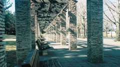 昭和記念公園にて