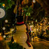 沖縄夜凪 ~枝木の間からメリークリスマス~