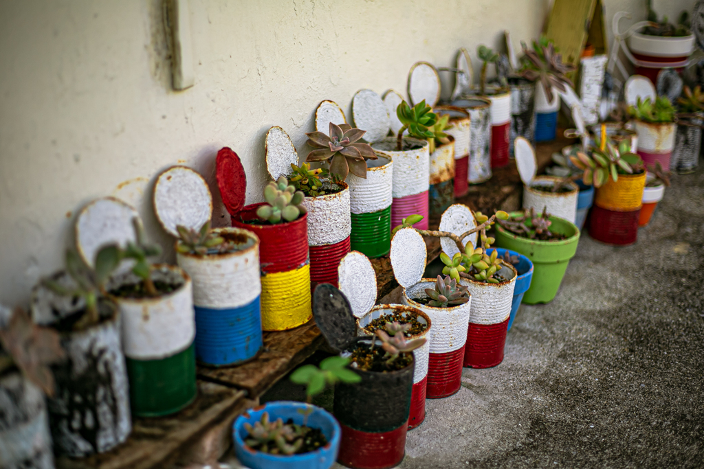 Colorful potted plant